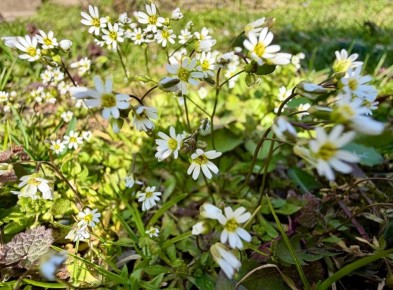 17 ����� � ������ ��������