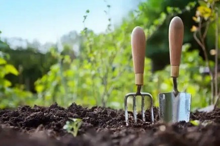 ������ �� ����� ������������ �������� ��� �������: ����������� ����