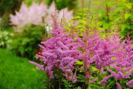 ����� ���������� ��������: ��� ������� ������� �����