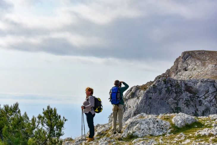 Крым стал главным «убежищем» для аллергиков со всей России