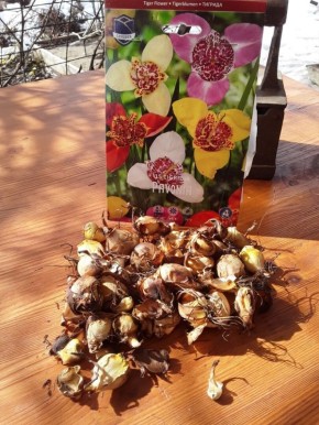 ��������: �������� ��� ��������� ������� ������ ������