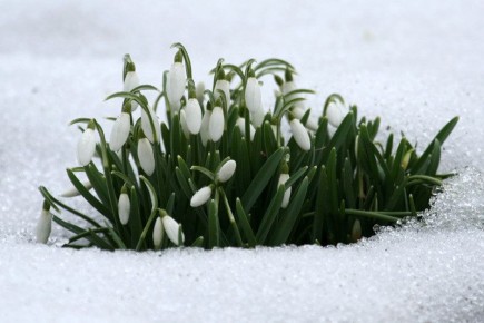 ������� ������������: ��� ����� ����� �������� �� ������������