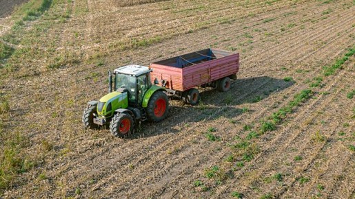 ��� �� ����������� ��������� ����� � 2026 ����: ������ ��������� �� ���������