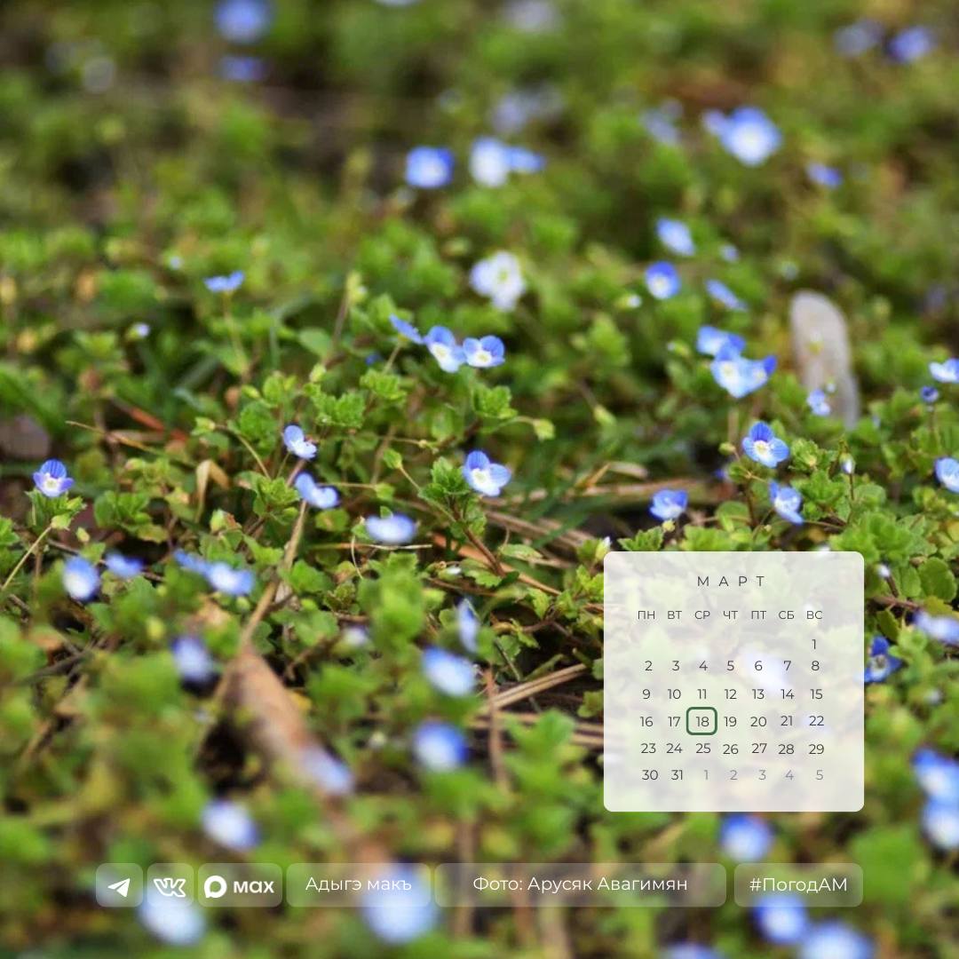 Доброе утро!. 18 марта в Адыгее солнечная погода