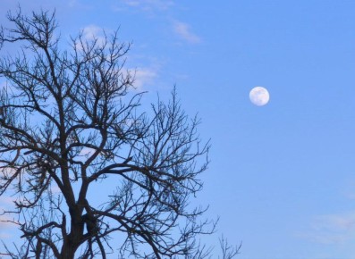 19 ����� � ������ ����. ����������� ������� � ��������� ����� +8� +17 �C. ����� 4-10 �/�