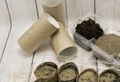 �������� �������� ������ ������: �������� � ��������, ������� ����������