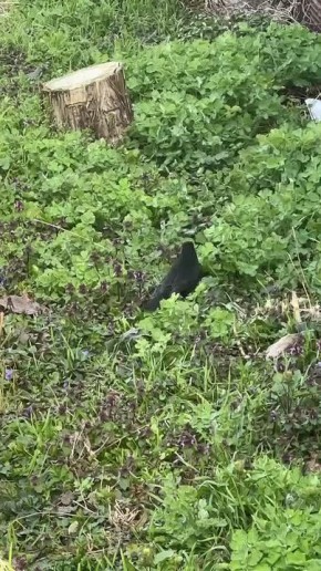 ������ ����� ��������� �� ���������� ������� ������ �� � �� ���������� �������� ������ �����