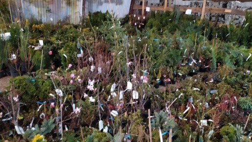 ��� �������, ������ ������������ ����� ���������� �� ������