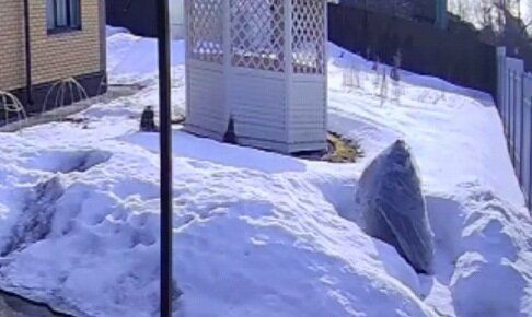 ��������� ��������: ��� ����� ����� � �������� ������ �����