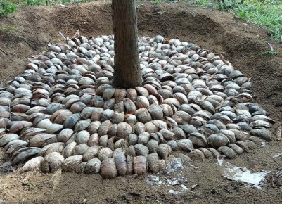 ����������� ���� ������ ��� ������ ����: ��� ������� � ������