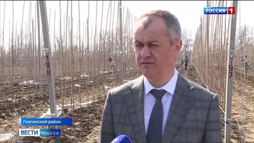 Председатель Государственного Совета-Хасэ РА Владимир Нарожный, его заместитель Эдуард Цеев и министр сельского хозяйства республики Анзаур Куанов проверили ход реализации второго этапа закладки яблоневого сада на территории...