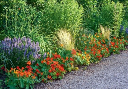 Как создать живой бордюр для вашего цветника