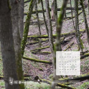 Доброе утро!. 21 марта в Адыгее переменная облачность