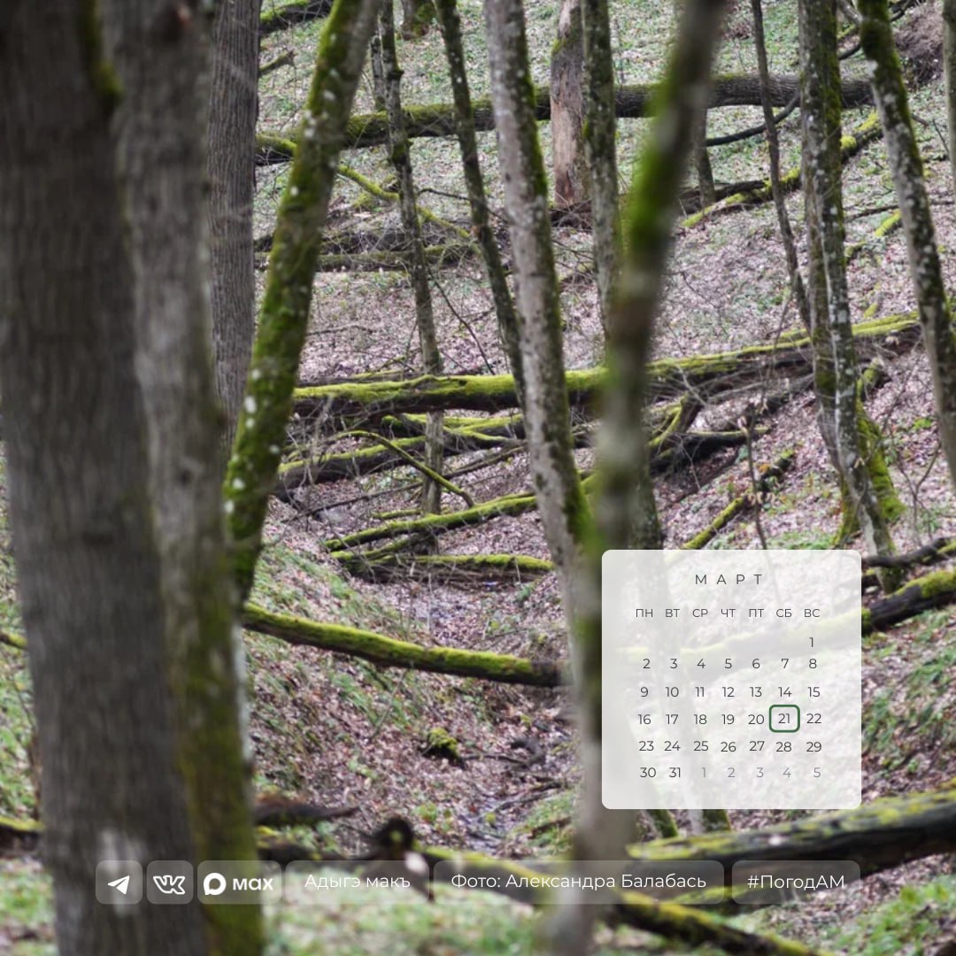 Доброе утро!. 21 марта в Адыгее переменная облачность