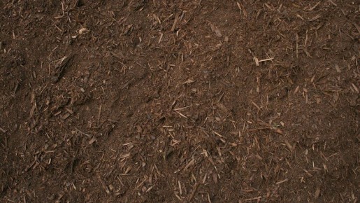 Что важно знать при выборе грунта для рассады