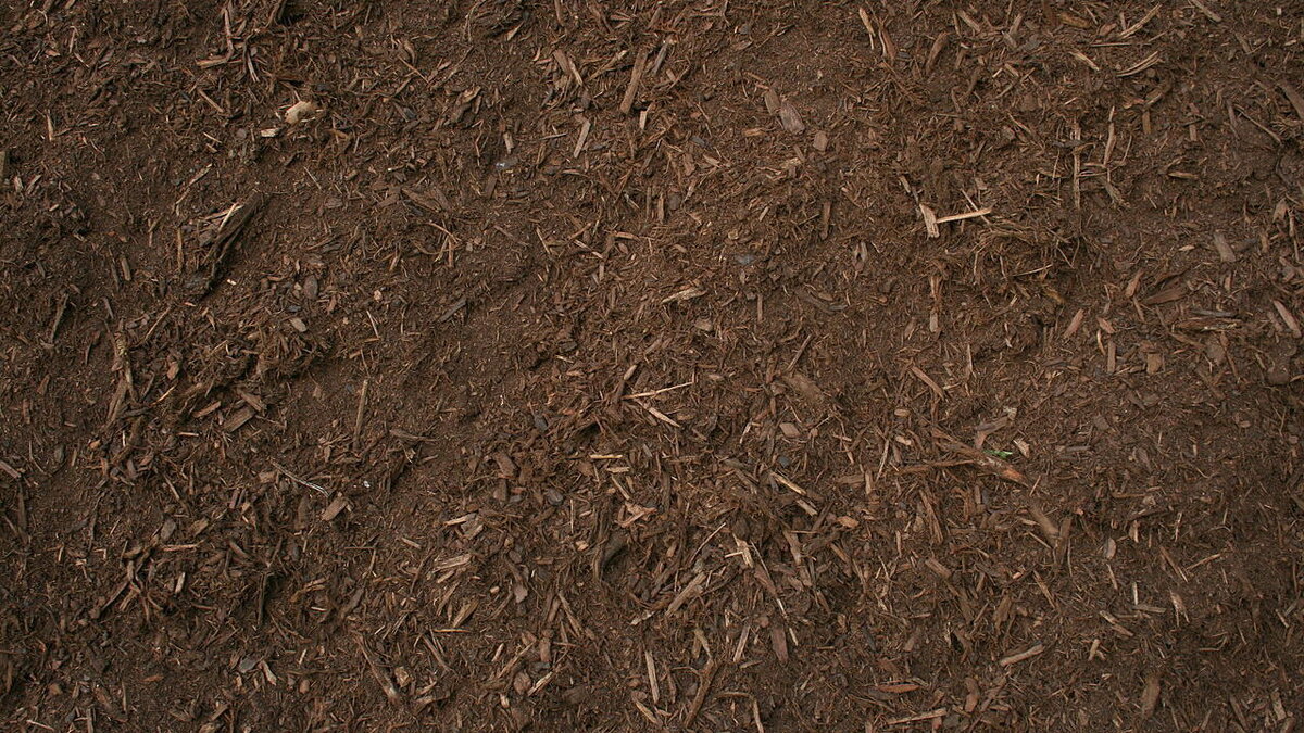 Что важно знать при выборе грунта для рассады