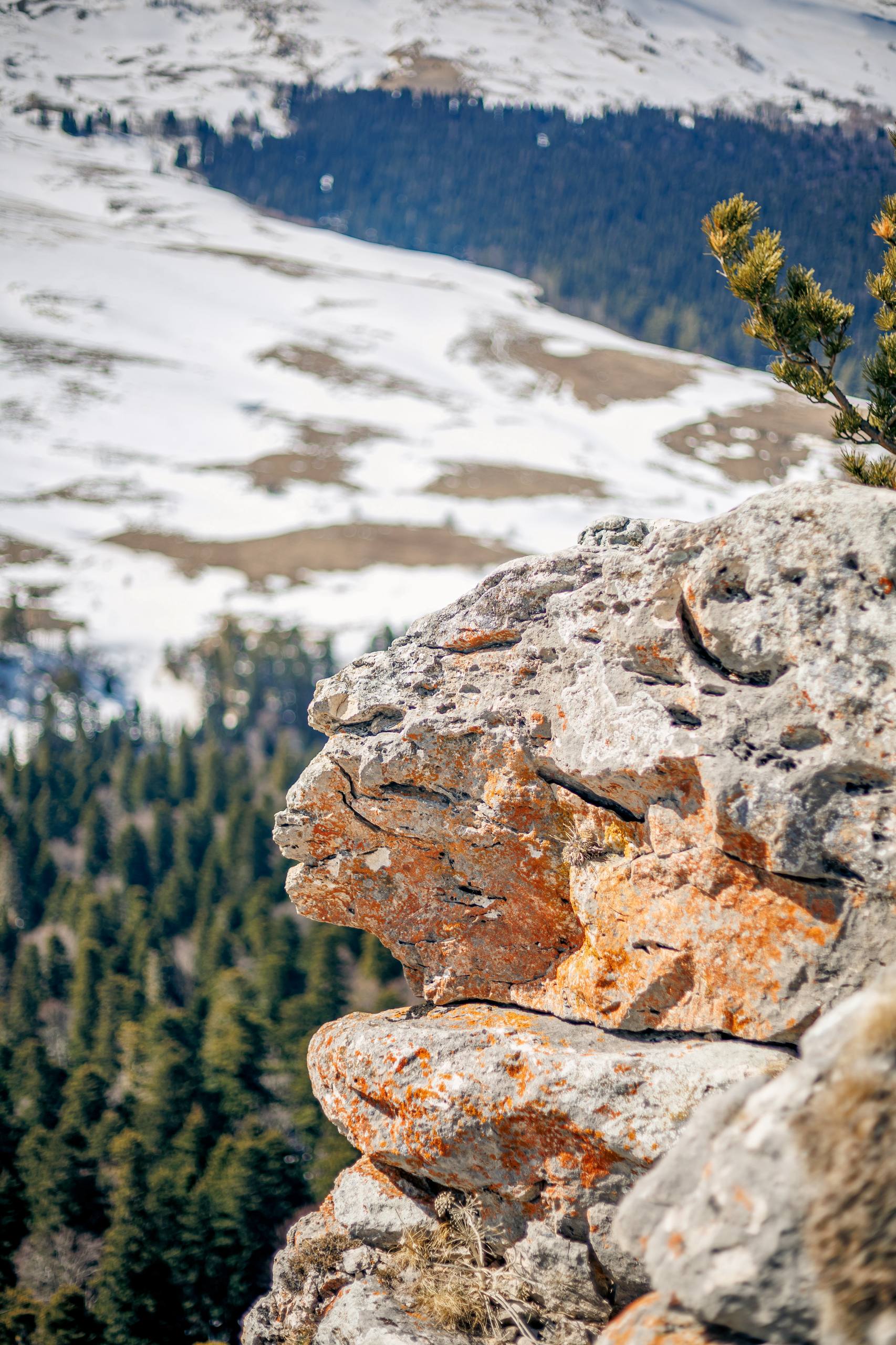 Мурат Кумпилов: Плато Лагонаки в ожидании весны Мурат Кумпилов: Плато Лагонаки в ожидании весны