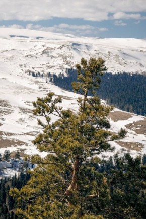 Мурат Кумпилов: Плато Лагонаки в ожидании весны