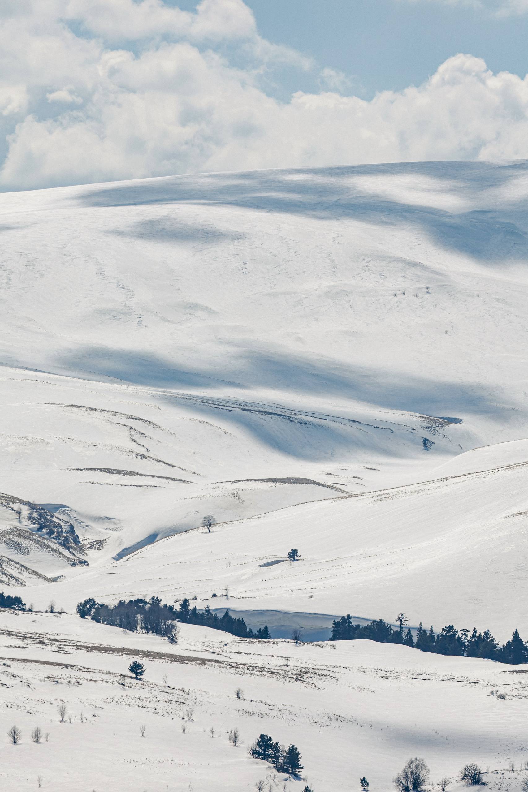 Мурат Кумпилов: Плато Лагонаки в ожидании весны Мурат Кумпилов: Плато Лагонаки в ожидании весны