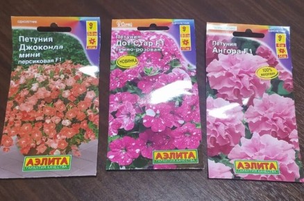 Февраль: время для посева рассады цветов и овощей