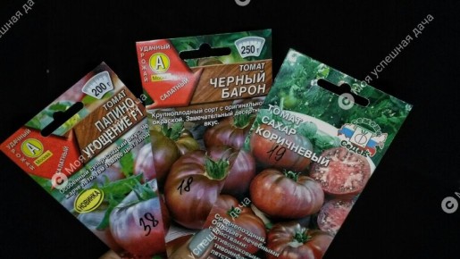 ��������� ��������: ��� ����� �� ���������