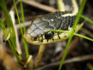 ��� �������� ���� ������� �� ����: ������� ������������