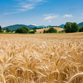 ����: ������� ������� � ������ � ��������� � ���������� �����