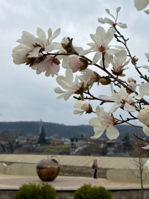 28 марта в Адыгее. Температура воздуха в равнинной части +9… +15 °C. Ветер 0-2 м/с