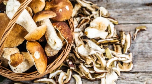 Как правильно приготовить суп из сушеных грибов