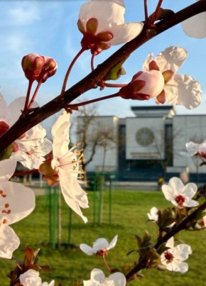 29 ����� � ������ �������. ����������� ������� � ��������� ����� +9� +14 �C. ����� 0-3�/�.