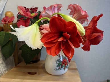 ������������� ����� ������� ���: ������ ��� ����������?