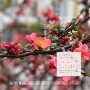 ������ ����!. 29 ����� � ������ ��������� �����