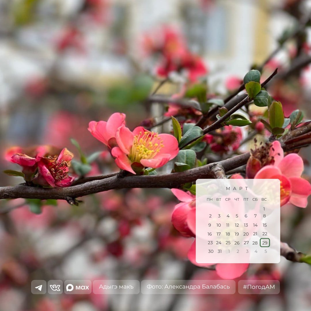 Доброе утро!. 29 марта в Адыгее ожидается дождь