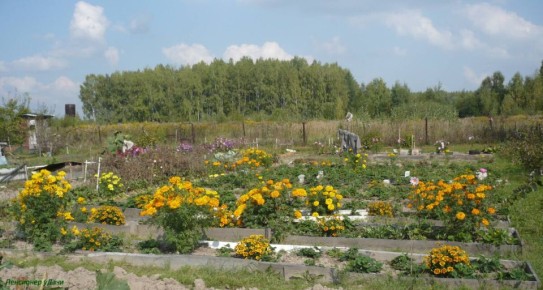 ������� � ������ ��������� � ��������� � ����� ����