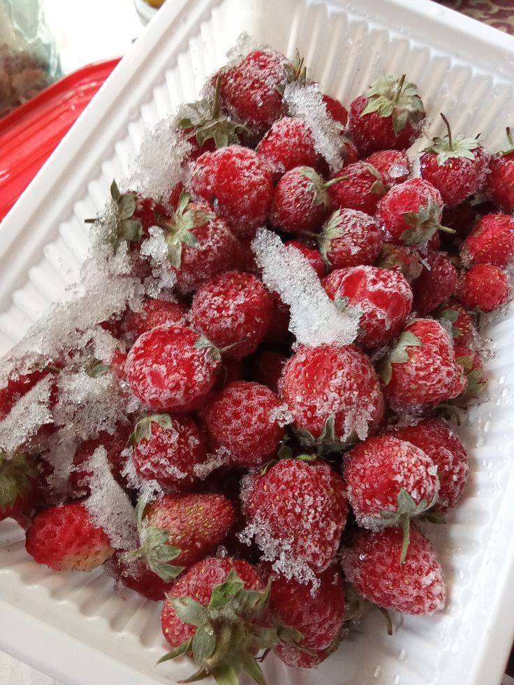 Заморозка: продукты, которые стоит хранить в морозильнике для максимальной пользы