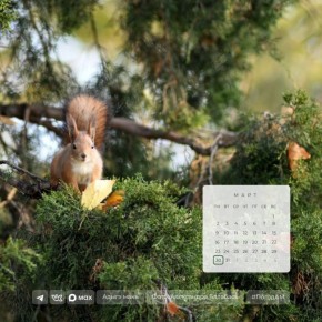 Доброе утро!. 30 марта в Адыгее переменная облачность, местами ожидается дождь