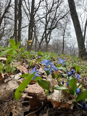 Доброе утро!. Сегодня в Адыгее ожидается до +13, в первой половине пройдет небольшой дождь