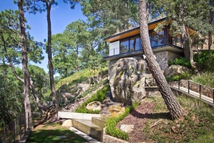 Создайте уникальный сад мечты на озере и склоне в лесном массиве