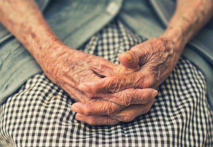 ��� ���������� �� ������������ ������ � 2026 ����