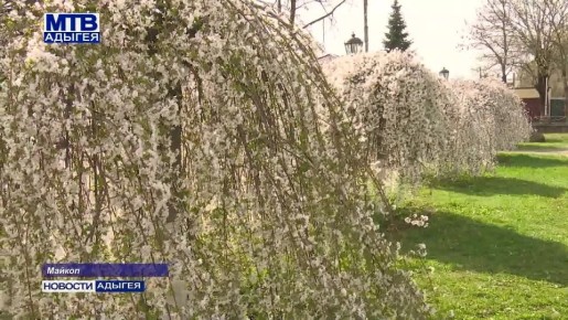 ������ ����� ������ ����� � ������ ��������� ��������