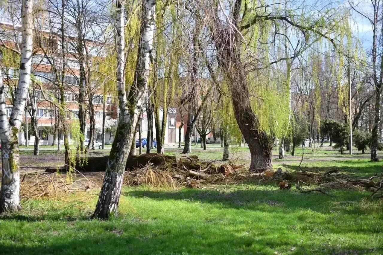 В Майкопе приступили к благоустройству площади возле строящегося Свято-Успенского кафедрального собора В Майкопе приступили к благоустройству площади возле строящегося Свято-Успенского кафедрального собора