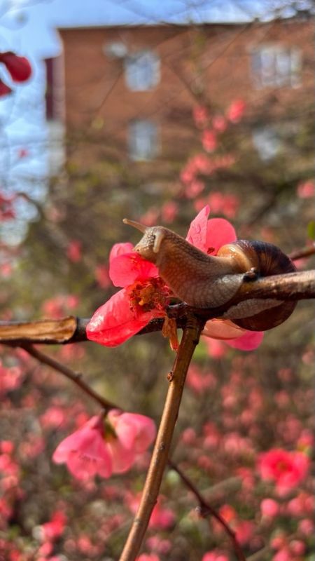������ � ������� �� 1 ������: