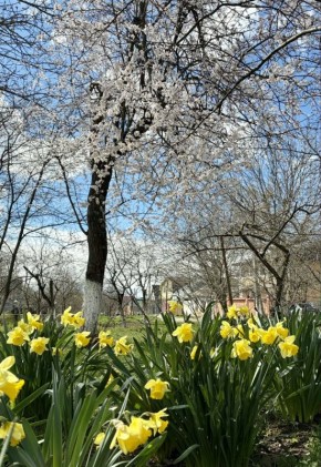 2 апреля в Адыгее ясно. Температура воздуха в равнинной части +12… +20 °C. Ветер 4-6 м/с