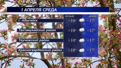 Доброе утро!. Погода в республике сегодня, 1 апреля