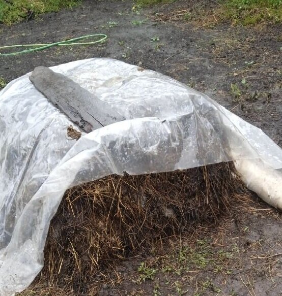 Как приготовить компост за 30 дней: секреты быстрого органического удобрения