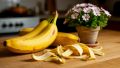 Почему стоит сохранить банановую кожуру: 7 неожиданных применений