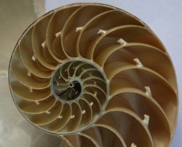 Методичность и последовательность: ключ к успешному поведению