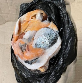 ����� �� ���������: �������� � �������� �������������