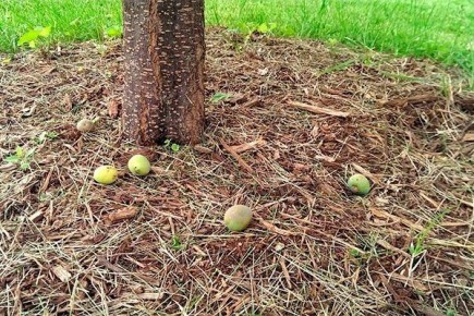 ������� �������� � �������������� ������ �����