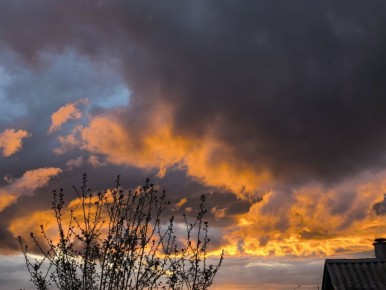 ���������� �����. ����� ����/��������� ������